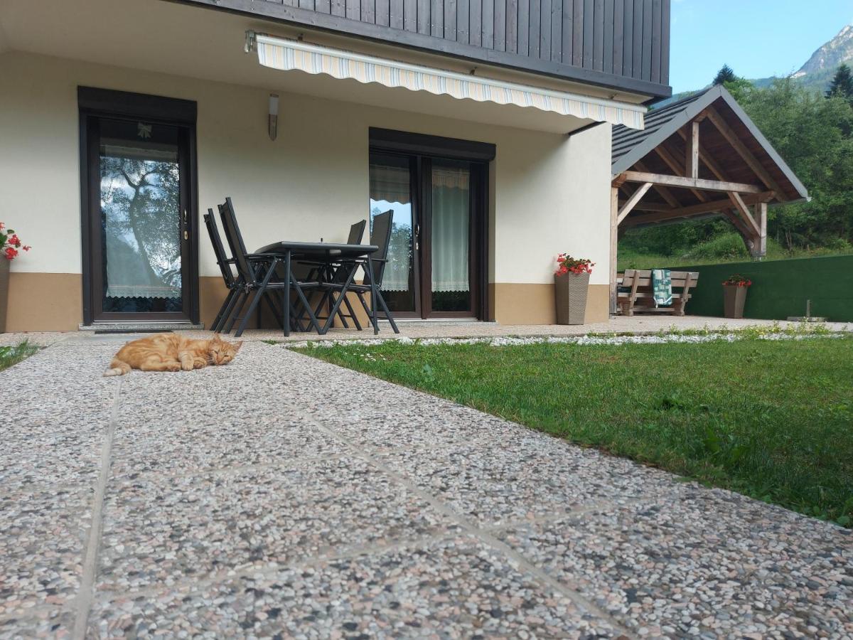 Ferienwohnung Apartmaji Katrc Soča Exterior foto