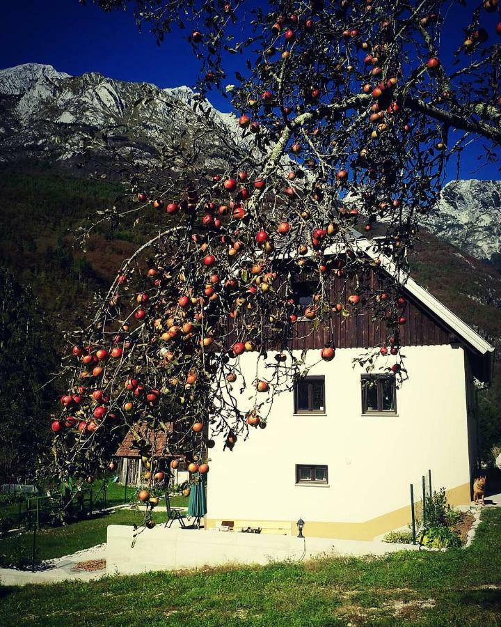 Ferienwohnung Apartmaji Katrc Soča Exterior foto